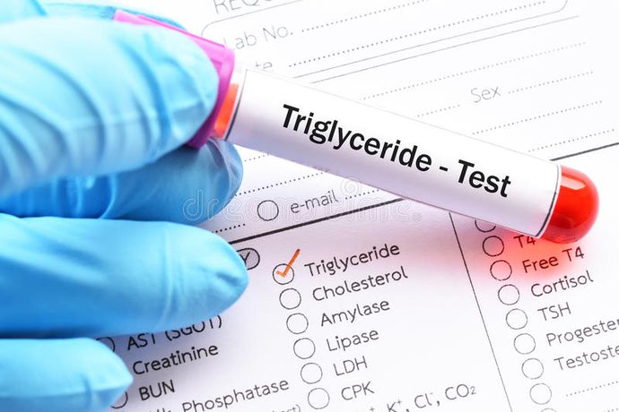 Zymeboost+ Triglycerides Test